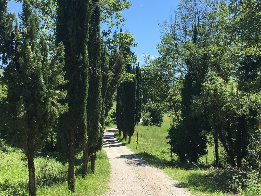 Podere Terreno Alla Via Della Volpaia Radda in Chianti Exterior photo