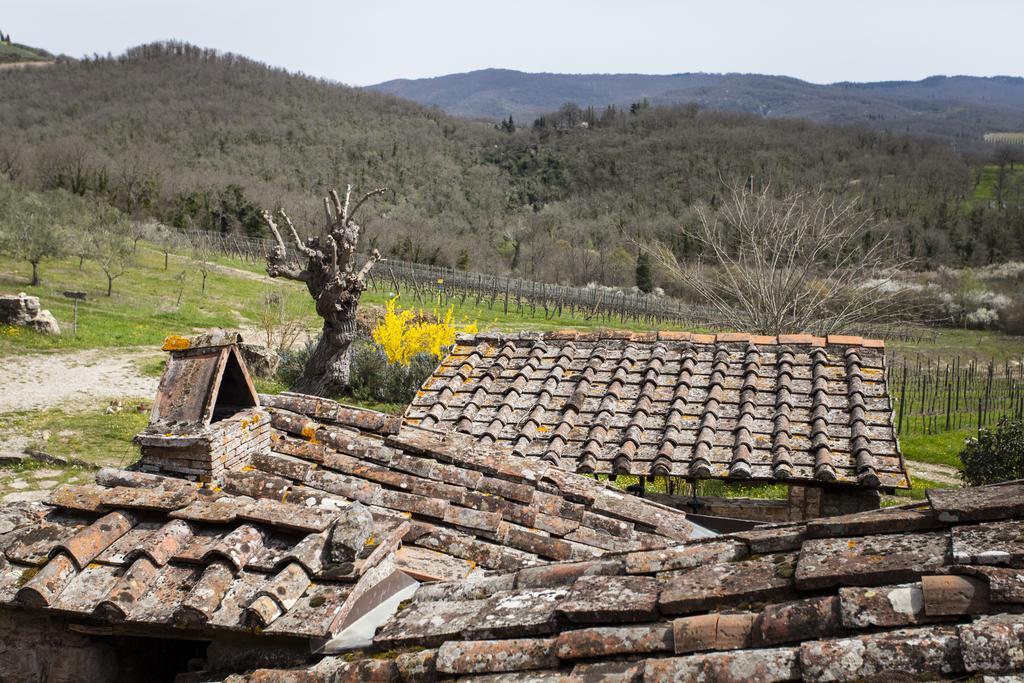 Podere Terreno Alla Via Della Volpaia Radda in Chianti Exterior photo