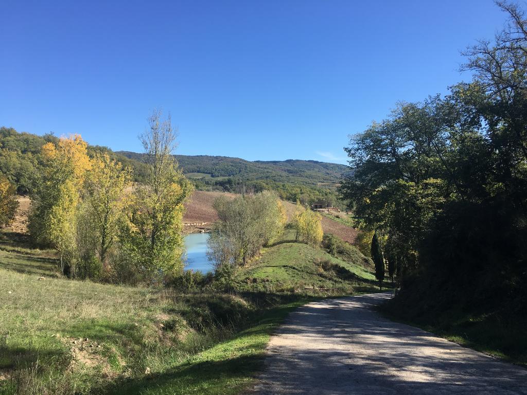 Podere Terreno Alla Via Della Volpaia Radda in Chianti Exterior photo